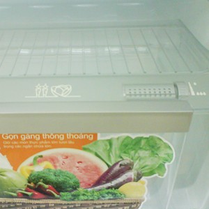 tu-lanh-electrolux-etb2100pc-3